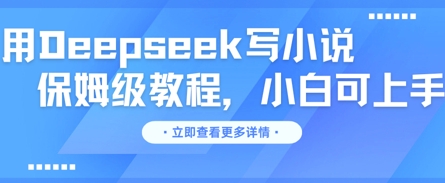 用Deepseek写小说，保姆级教程，小白可实操 - 网创副业项目网-网创副业项目网