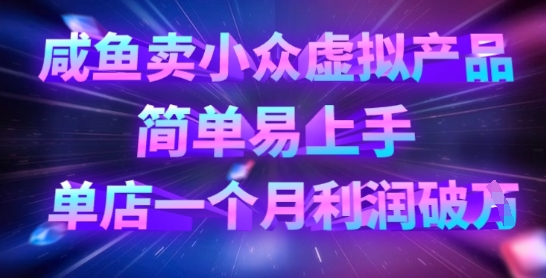 咸鱼卖小众虚拟产品，简单易上手，单店一个月利润破W - 网创副业项目网-网创副业项目网