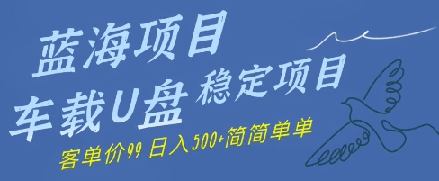 蓝海项目车载U盘稳定项目，挣的就是信息差，客单价99，日入几张简简单单 - 网创副业项目网-网创副业项目网