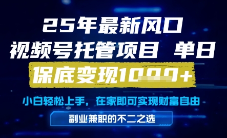 25年最新风口，视频号托管项目，单日保底变现1k+，手把手教学【揭秘】 - 网创副业项目网-网创副业项目网