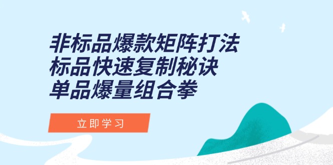 （15068期）非标品爆款矩阵打法，标品快速复制秘诀，单品爆量组合拳 - 网创副业项目网-网创副业项目网
