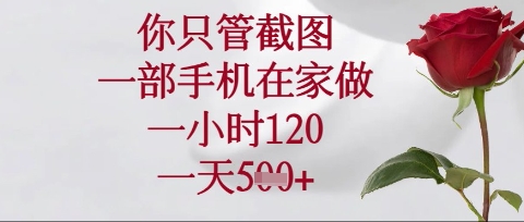 你只管截图，一部手机在家操作，一小时120.一天5张【揭秘】 - 网创副业项目网-网创副业项目网